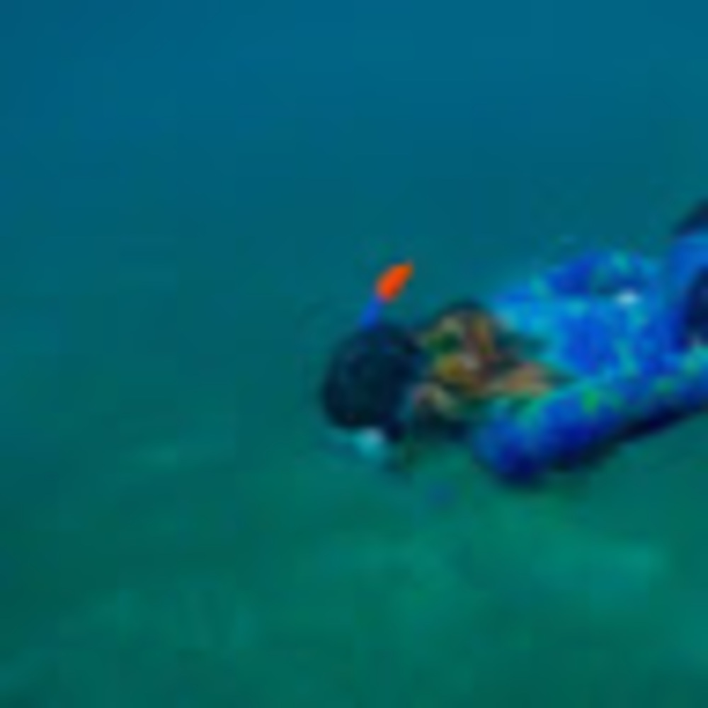 Meet your Posher, Dara